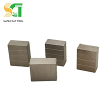 Smart Trade Diamond Segment Blade