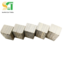 Stone Cutter with Handle and Diamond Segment
