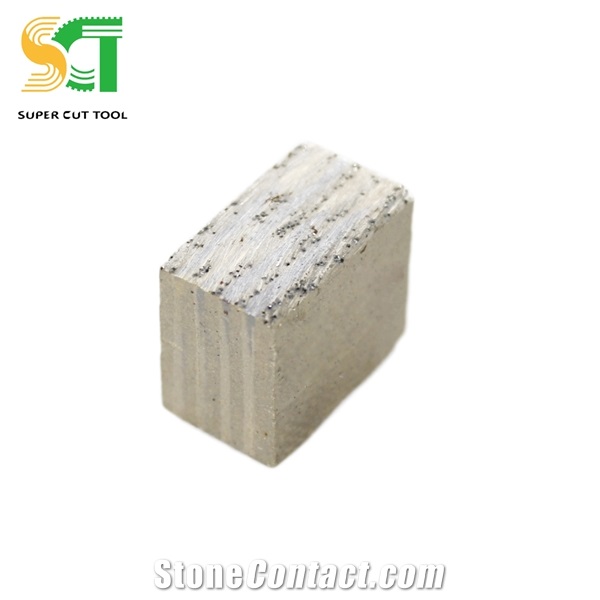 Tile Saw Cutter Rental and Diamond Segment