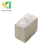 Tile Saw Cutter Rental and Diamond Segment