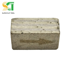 Tile Saw Cutter Rental and Diamond Segment