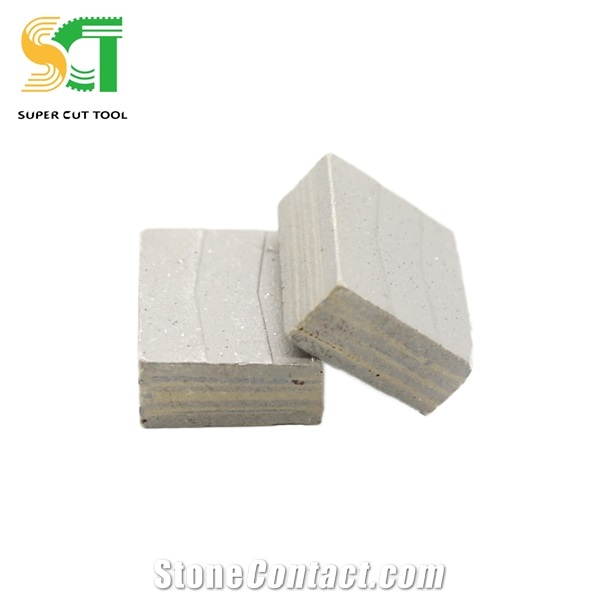 Tile Saw Cutter Rental and Diamond Segment