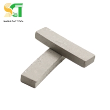 Twin Blade Cutter and Diamond Segment