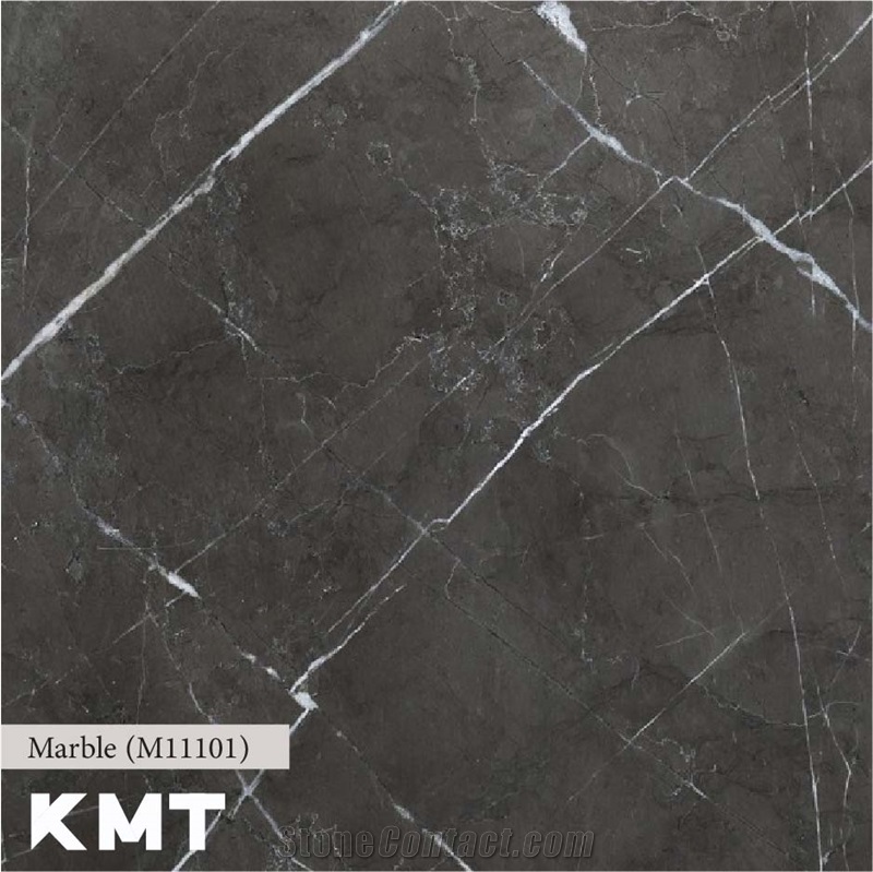 Pietra Gray Marble M-11101