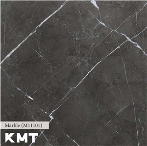 Pietra Gray Marble M-11101