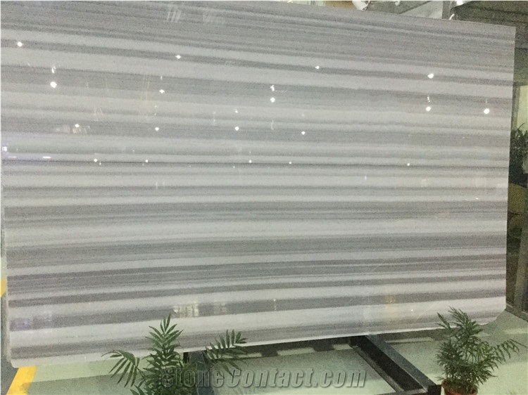 Marmara Equator Marble,Zebra Marmara White Marble