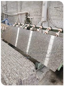 New Chinese Granite G664 Granite Stone Tile