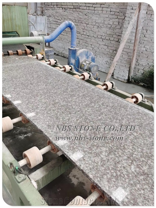 New Chinese Granite G664 Granite Stone Tile