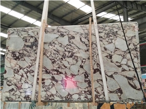 Calacatta Viola Marble Slab Italy White Stone Wall