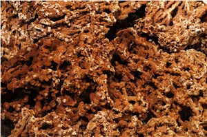 Spaghetti Stone, Flouray Natural Sea Rock