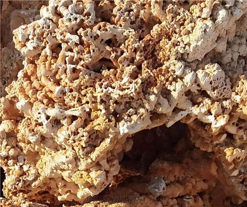 Spaghetti Stone, Flouray Natural Sea Rock