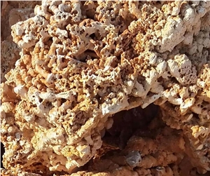 Spaghetti Stone, Flouray Natural Sea Rock