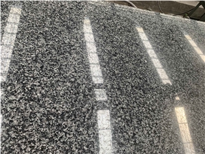 China G654 Grey-Granite&Dark Impala Granite-Slabs