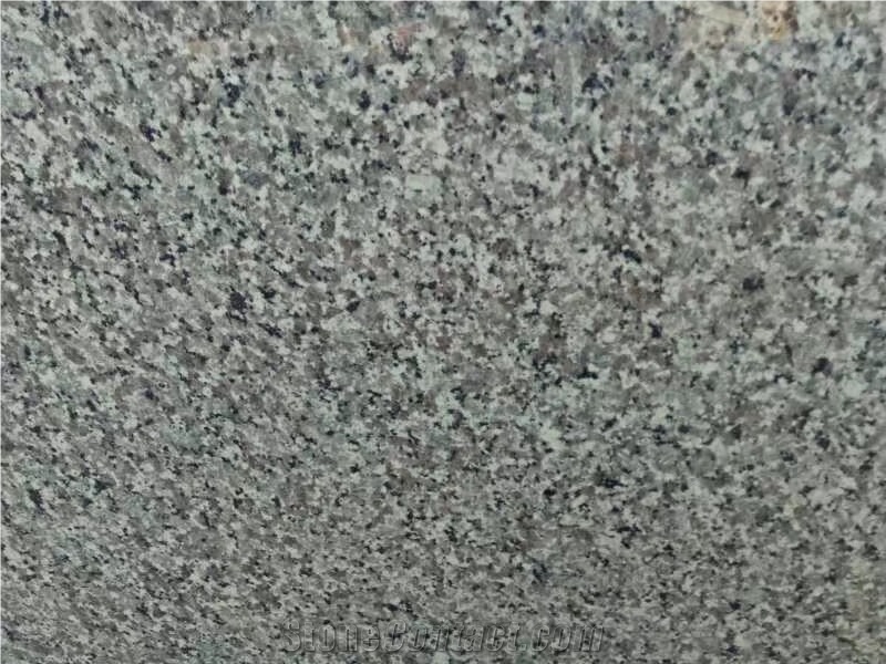 China Swan White Granite-Slab&White-Granite