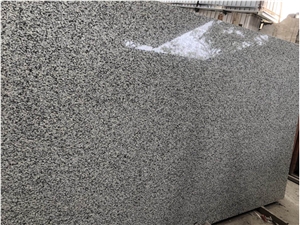 G439 Granite Large Format Slabs 2400*700Mm