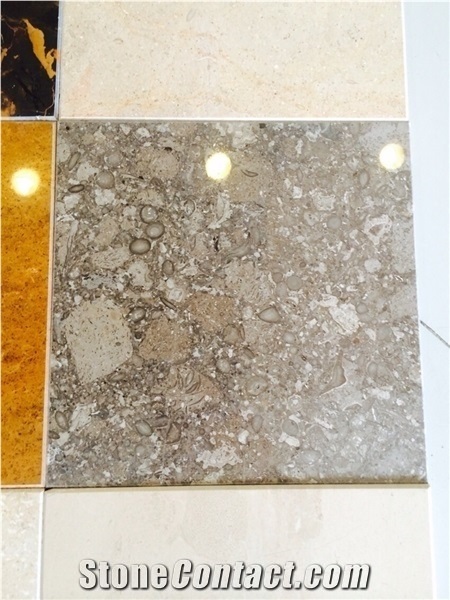 Ocean Grey Marble Slabs & Tiles