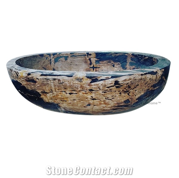 Fossil Petrified Wood Bathtub Lignum Natural Stone