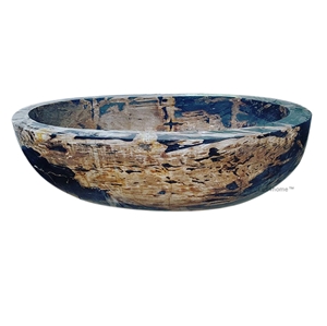 Fossil Petrified Wood Bathtub Lignum Natural Stone