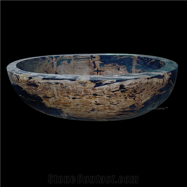 Fossil Petrified Wood Bathtub Lignum Natural Stone