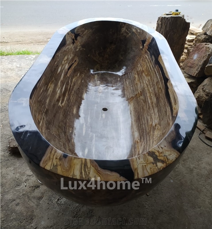 Fossil Petrified Wood Bathtub Lignum Natural Stone