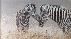 Couple Zebra Glass Mosaic Anmial Photos