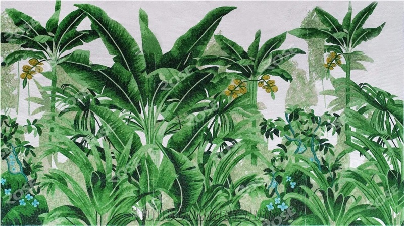 Green Leaf Of Japanese Banana Pic for House Dec