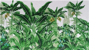 Green Leaf Of Japanese Banana Pic for House Dec Green Leaf Of Japanese Banana Pic for House Dec