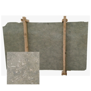 Coquillage Limestone Slabs