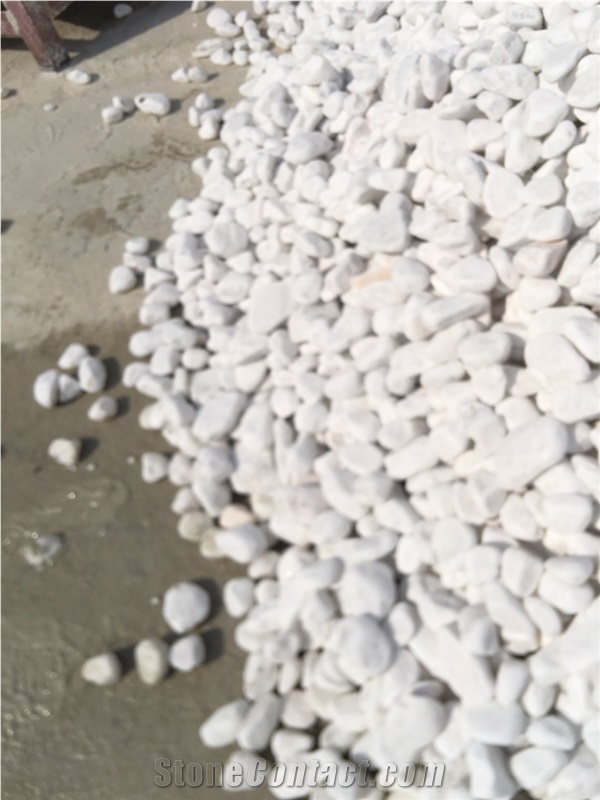 Pebble Ship Stone White Color