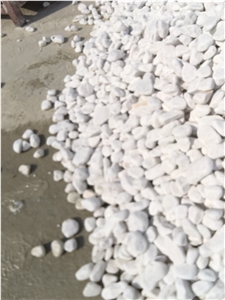 Pebble Ship Stone White Color