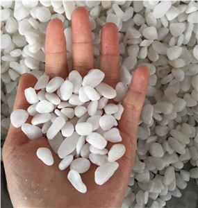 Pebbles White Natural Color Rocks Stone
