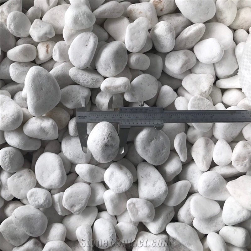 Tumbled Multiple Colors Garden Gravel Pebble
