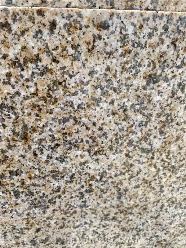 Gold G682 Tiles for Floor