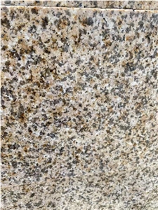 Gold G682 Tiles for Floor