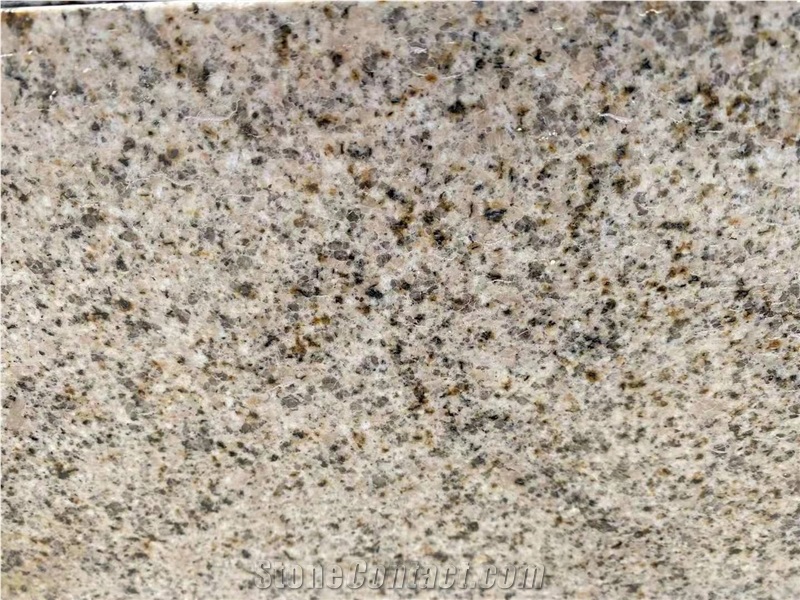 Gold G682 Tiles for Floor