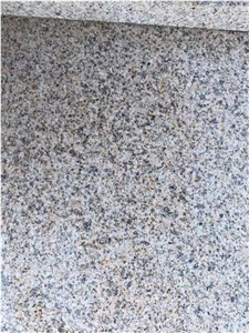 Gold G682 Tiles for Floor