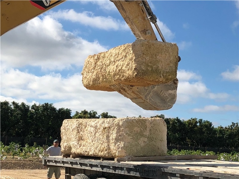 Oolite Coral Stone Blocks / Coral Stone Rock
