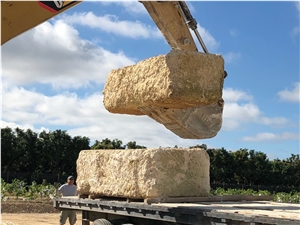 Oolite Coral Stone Blocks / Coral Stone Rock