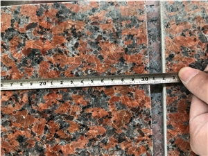 Charme Red Granite G562 30.5x61x1cm Tiles