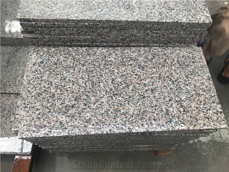New G664 Flamed Granite Tiles