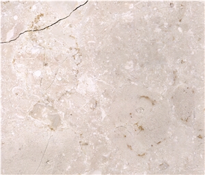 Turkey Shell Beige Marble Slabs&Tiles