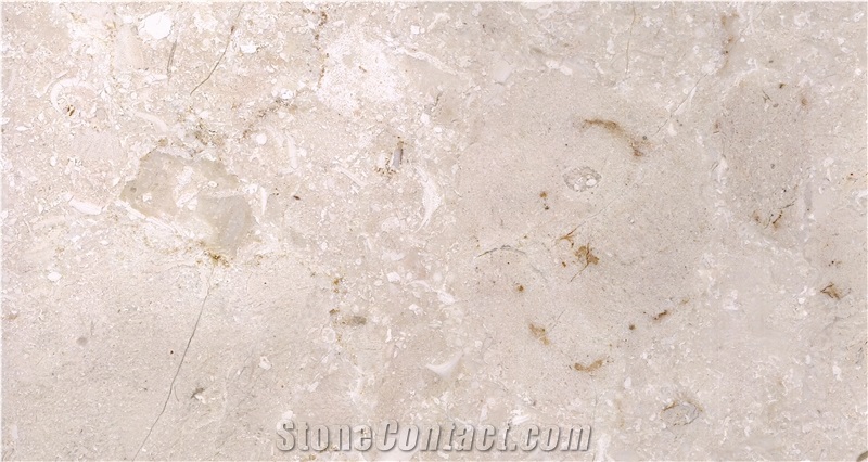 Turkey Shell Beige Marble Slabs&Tiles
