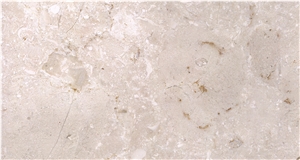 Turkey Shell Beige Marble Slabs&Tiles