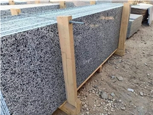 New Halayeb Granite Slabs