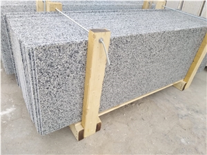 New Halayeb Granite Slabs