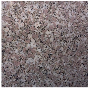 Rosa El Nasr Granite Slabs