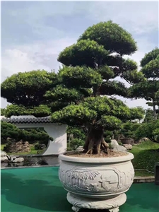 Granite Stone Carving Street Landscape Planters