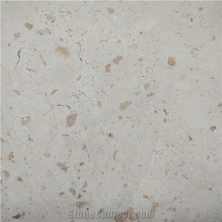 Castle Cream-Colored Beige Limestone Wall Design