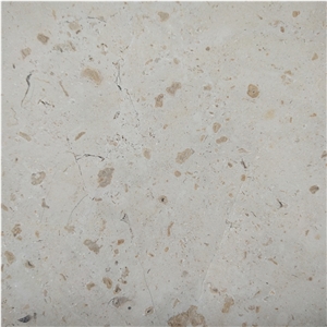 Castle Cream-Colored Beige Limestone Wall Design