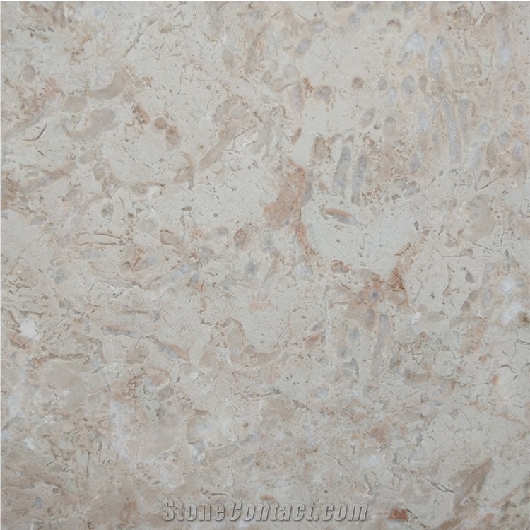 Giallo Vermont Marble Polished Slabs & Tiles